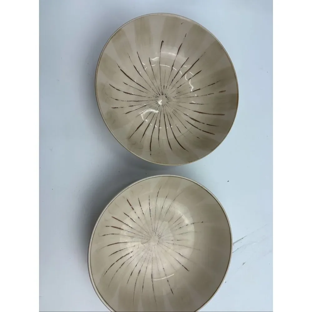Pier 1 Sanctuary Stoneware Latte Mug & Soup/Pasta Bowl Set of 2 Place Settings
